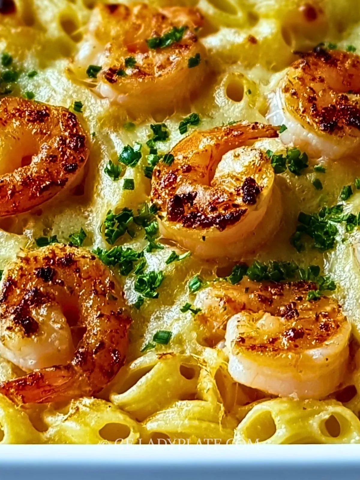 garnelen-scampi-nudelauflauf