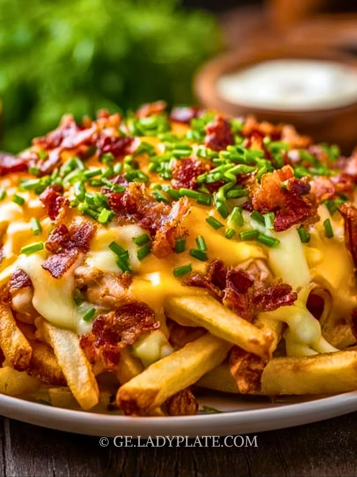 huhnchen-und-kase-poutine